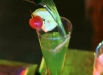 cocktail_02